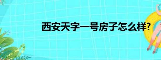 西安天字一号房子怎么样?