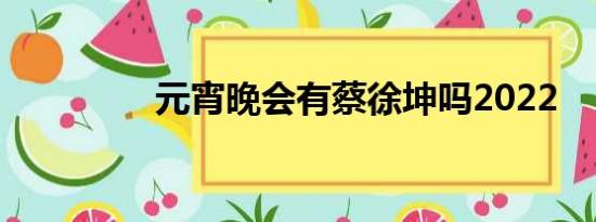 元宵晚会有蔡徐坤吗2022