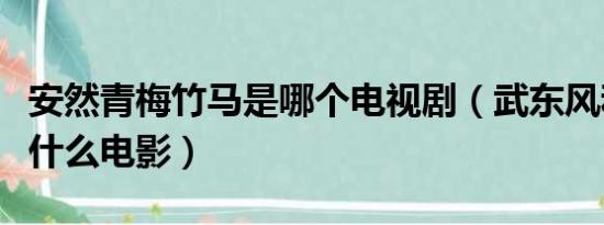 安然青梅竹马是哪个电视剧（武东风和安然是什么电影）