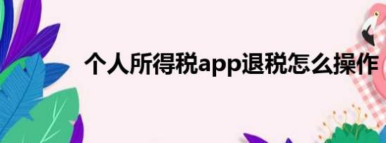 个人所得税app退税怎么操作