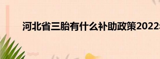 河北省三胎有什么补助政策2022年