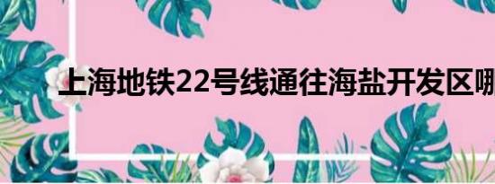 上海地铁22号线通往海盐开发区哪里