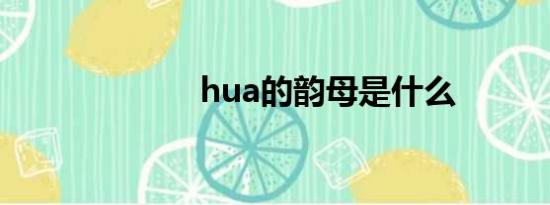 hua的韵母是什么