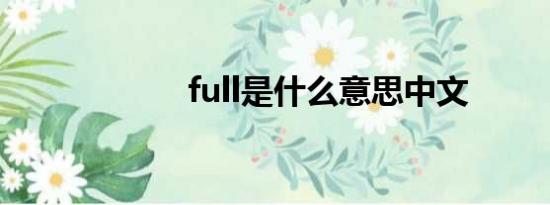 full是什么意思中文