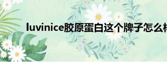 luvinice胶原蛋白这个牌子怎么样