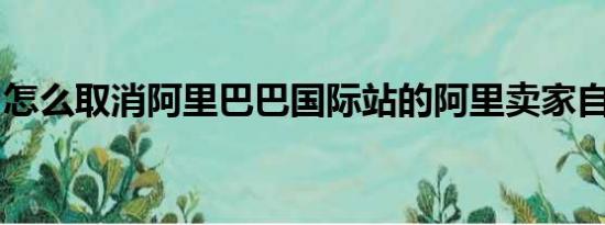 怎么取消阿里巴巴国际站的阿里卖家自动回复