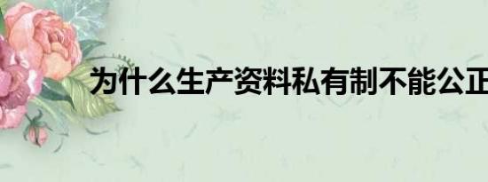 为什么生产资料私有制不能公正