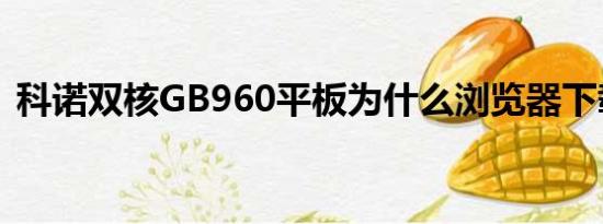 科诺双核GB960平板为什么浏览器下载不了