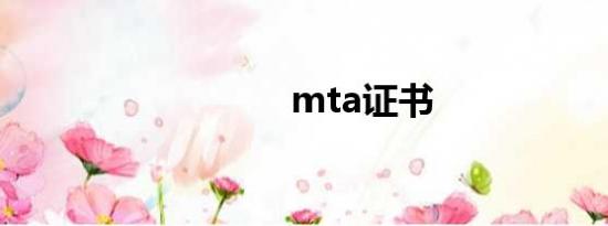 mta证书