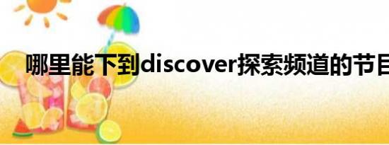 哪里能下到discover探索频道的节目啊？