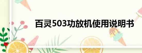 百灵503功放机使用说明书