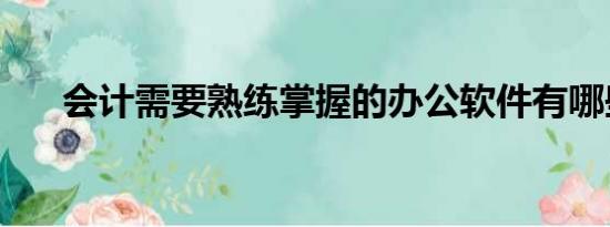 会计需要熟练掌握的办公软件有哪些？