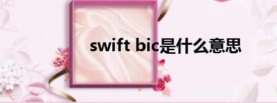 swift bic是什么意思