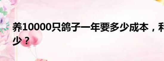 养10000只鸽子一年要多少成本，利润有多少？