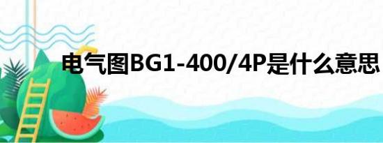 电气图BG1-400/4P是什么意思？