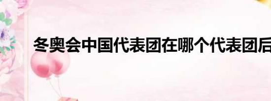 冬奥会中国代表团在哪个代表团后面