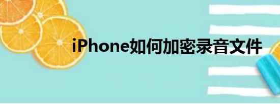 iPhone如何加密录音文件