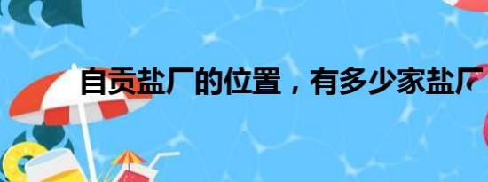 自贡盐厂的位置，有多少家盐厂？