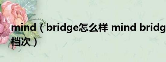 mind（bridge怎么样 mind bridge是什么档次）