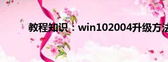 教程知识：win102004升级方法