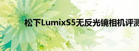 松下LumixS5无反光镜相机评测