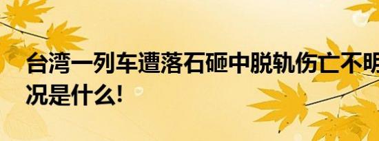 台湾一列车遭落石砸中脱轨伤亡不明 具体情况是什么!