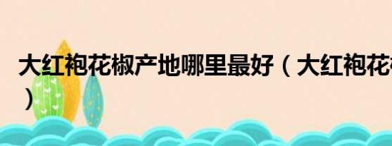 大红袍花椒产地哪里最好（大红袍花椒怎么样）