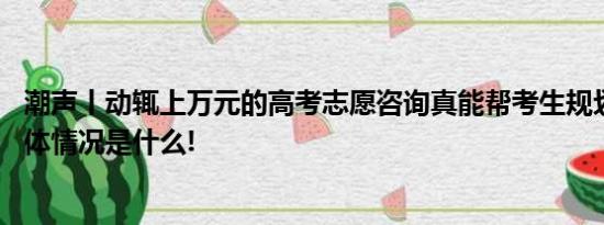 潮声丨动辄上万元的高考志愿咨询真能帮考生规划未来？ 具体情况是什么!