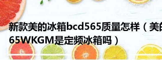 新款美的冰箱bcd565质量怎样（美的BCD-565WKGM是定频冰箱吗）