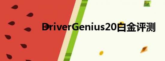 DriverGenius20白金评测