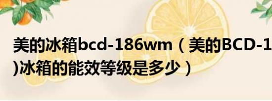 美的冰箱bcd-186wm（美的BCD-172CM(E)冰箱的能效等级是多少）