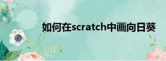 如何在scratch中画向日葵