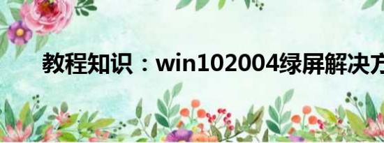 教程知识：win102004绿屏解决方法