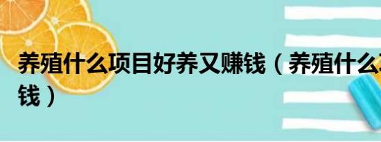 养殖什么项目好养又赚钱（养殖什么项目能赚钱）