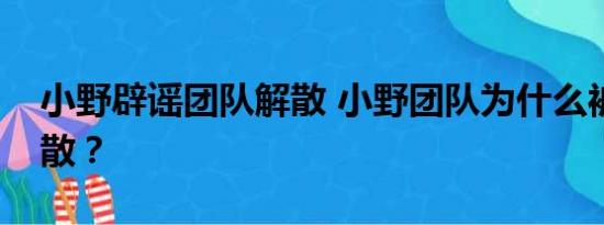 小野辟谣团队解散 小野团队为什么被造谣解散？