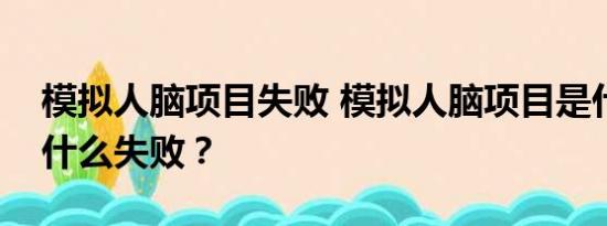 模拟人脑项目失败 模拟人脑项目是什么？为什么失败？