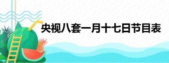 央视八套一月十七日节目表