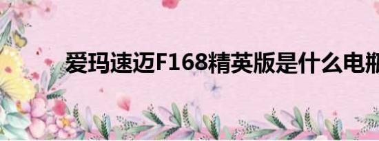 爱玛速迈F168精英版是什么电瓶