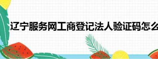 辽宁服务网工商登记法人验证码怎么修改