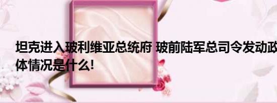 坦克进入玻利维亚总统府 玻前陆军总司令发动政变被捕 具体情况是什么!