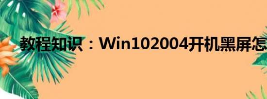 教程知识：Win102004开机黑屏怎么办