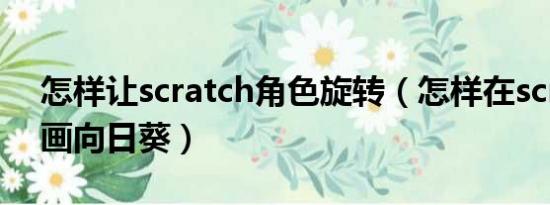 怎样让scratch角色旋转（怎样在scratch中画向日葵）