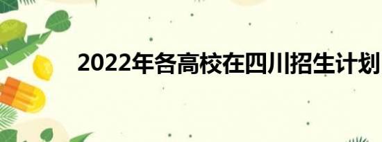 2022年各高校在四川招生计划