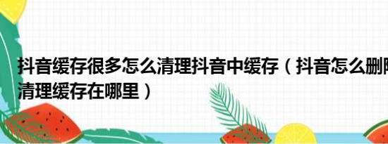 抖音缓存很多怎么清理抖音中缓存（抖音怎么删除缓存抖音清理缓存在哪里）