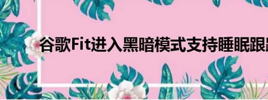 谷歌Fit进入黑暗模式支持睡眠跟踪