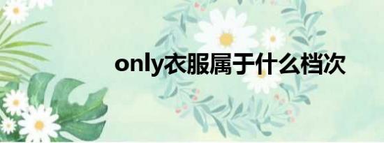 only衣服属于什么档次