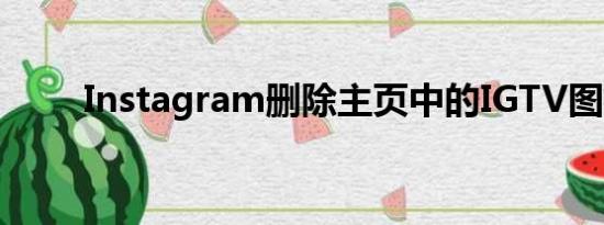 Instagram删除主页中的IGTV图标