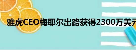 雅虎CEO梅耶尔出路获得2300万美元奖励