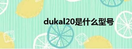 dukal20是什么型号