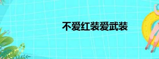 不爱红装爱武装